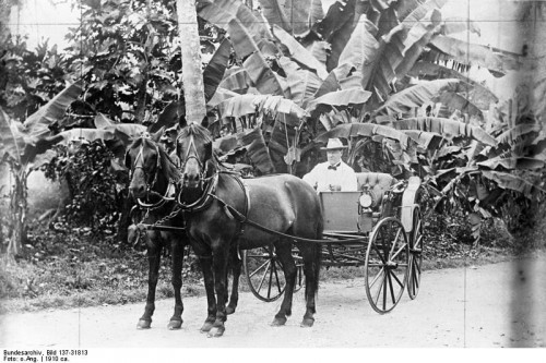 Bild 137-31813 Dr. Wilhelm Solf, German Samoa kormányzója
