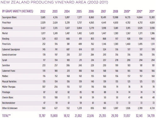 wine2-producingvineyard