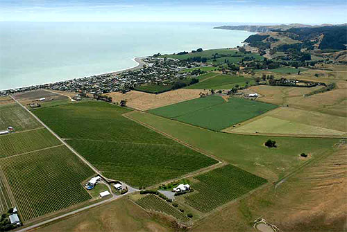 wine3-1hawkesbay