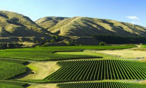 wine3-martinboroughv